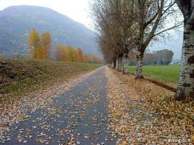 20100222234206.jpg