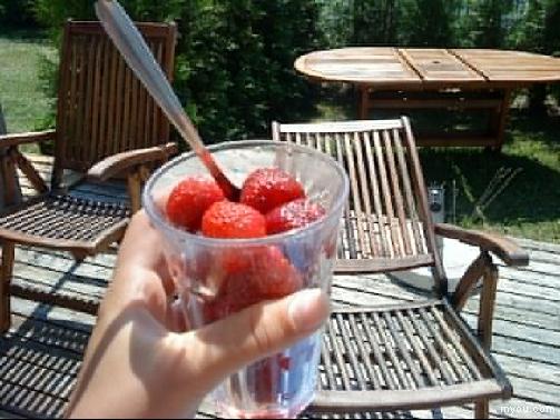 20100703142505.jpg