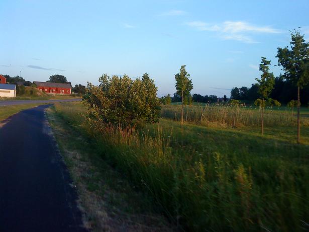 dsc00934